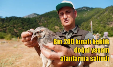 Bin 200 kınalı keklik doğal yaşam alanlarına salındı