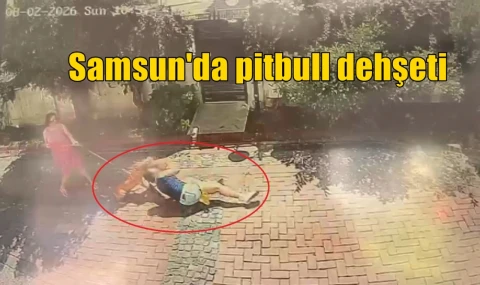 Samsun'da pitbull dehşeti