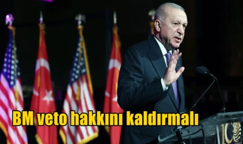 BM veto hakkını kaldırmalı