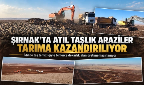Şırnak’ta Atıl Taşlık Araziler Tarıma Kazandırılıyor
