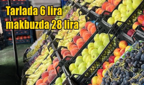 Tarlada 6 lira makbuzda 28 lira