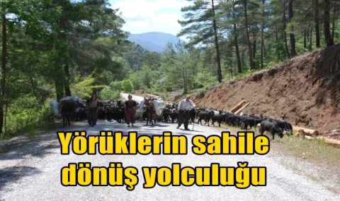 Yörüklerin sahile dönüş yolculuğu